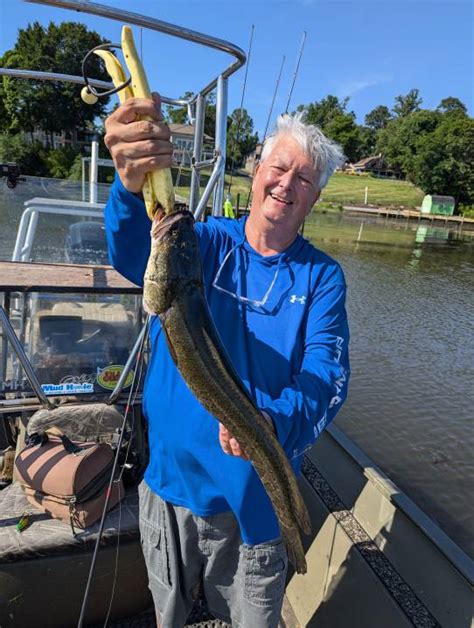oddspredator sports|Snakeheads 20 Years Later: Virginia Now One of the Top.